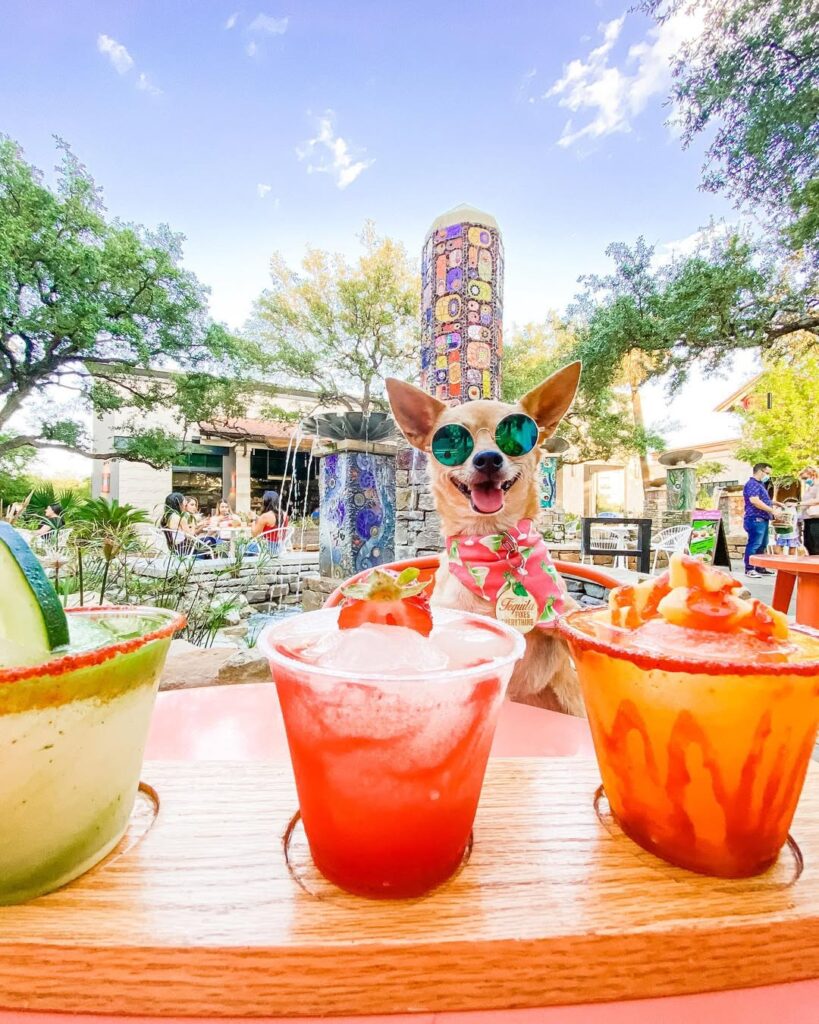 Places to eat near Six Flags Fiesta Texas, restaurants near Six Flags Fiesta Texas, best dining near Six Flags Fiesta Texas, food near Six Flags Fiesta Texas, top restaurants near Six Flags Fiesta Texas, family-friendly restaurants near Six Flags Fiesta Texas, eateries near Six Flags Fiesta Texas, casual dining near Six Flags Fiesta Texas, fast food near Six Flags Fiesta Texas, Mexican restaurants near Six Flags Fiesta Texas,